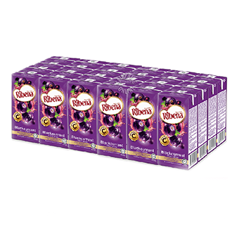 Ribena Blackcurrant (TET)-24x250ml03